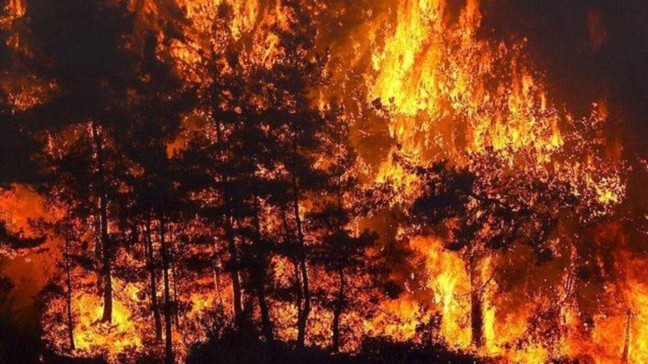 Çanakkale’deki yangın nedeniyle köylerde tahliyeler başladı